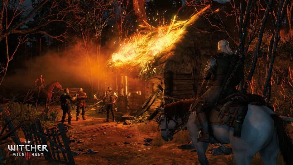 The Witcher 3: Wild Hunt — 3
