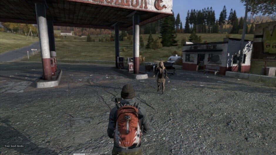 DayZ — 4