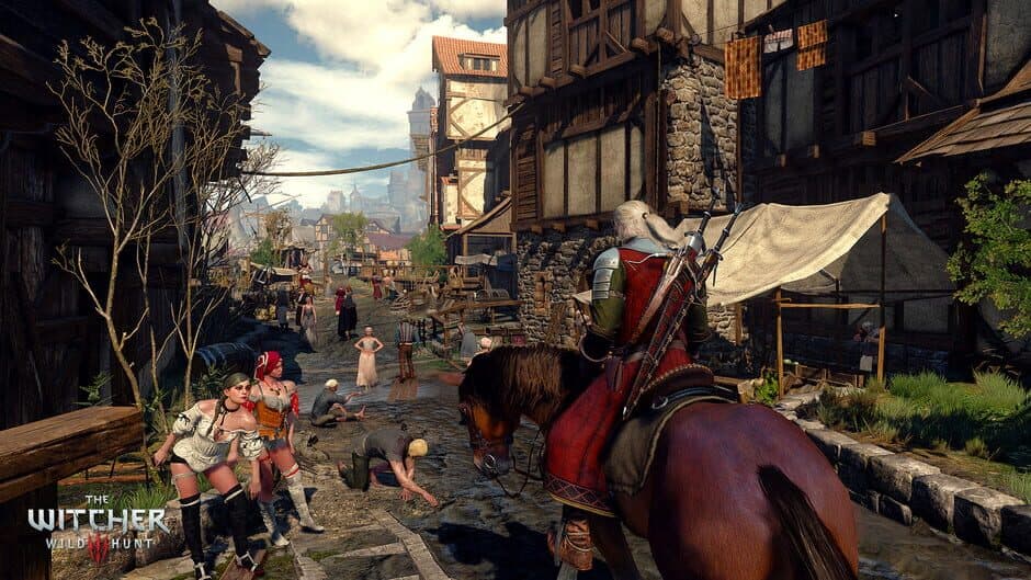 The Witcher 3: Wild Hunt — 5