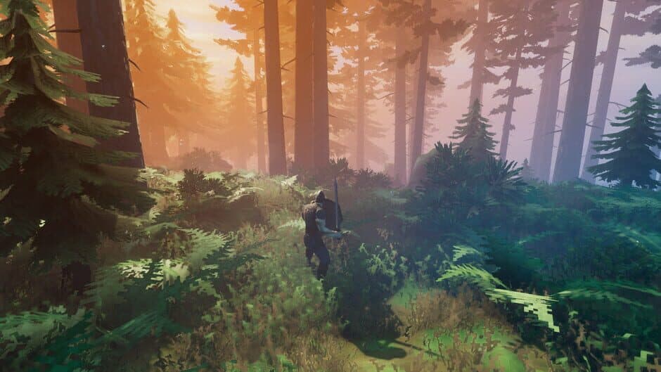 Valheim — 5
