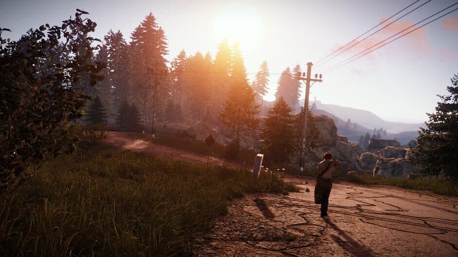 Rust — 1