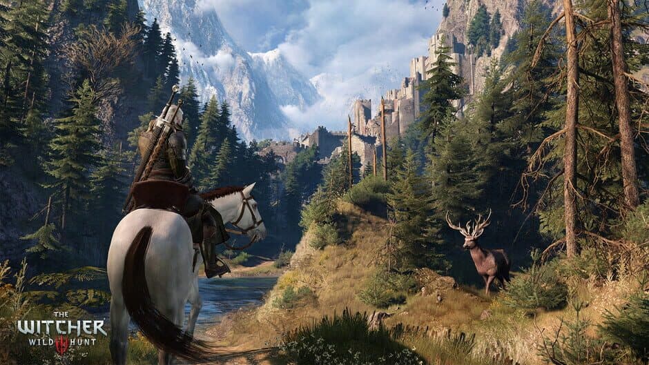 The Witcher 3: Wild Hunt — 8