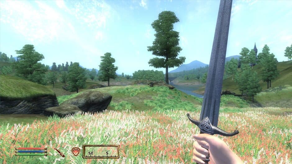 The Elder Scrolls IV: Oblivion — 7
