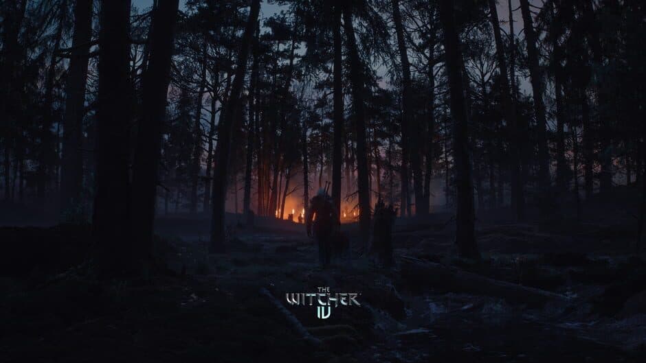 The Witcher IV — 1