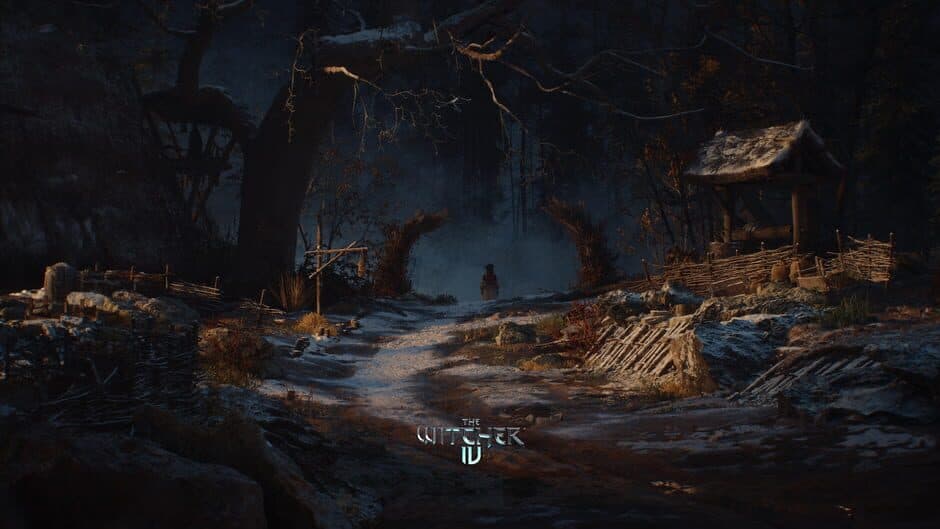 The Witcher IV — 3