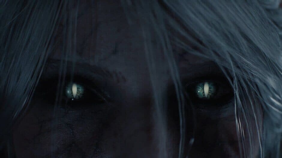 The Witcher IV — 5