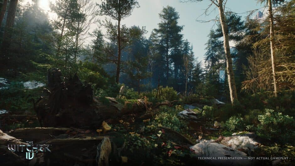 The Witcher IV — 6