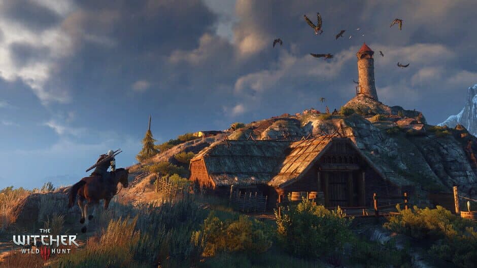 The Witcher 3: Wild Hunt — 2