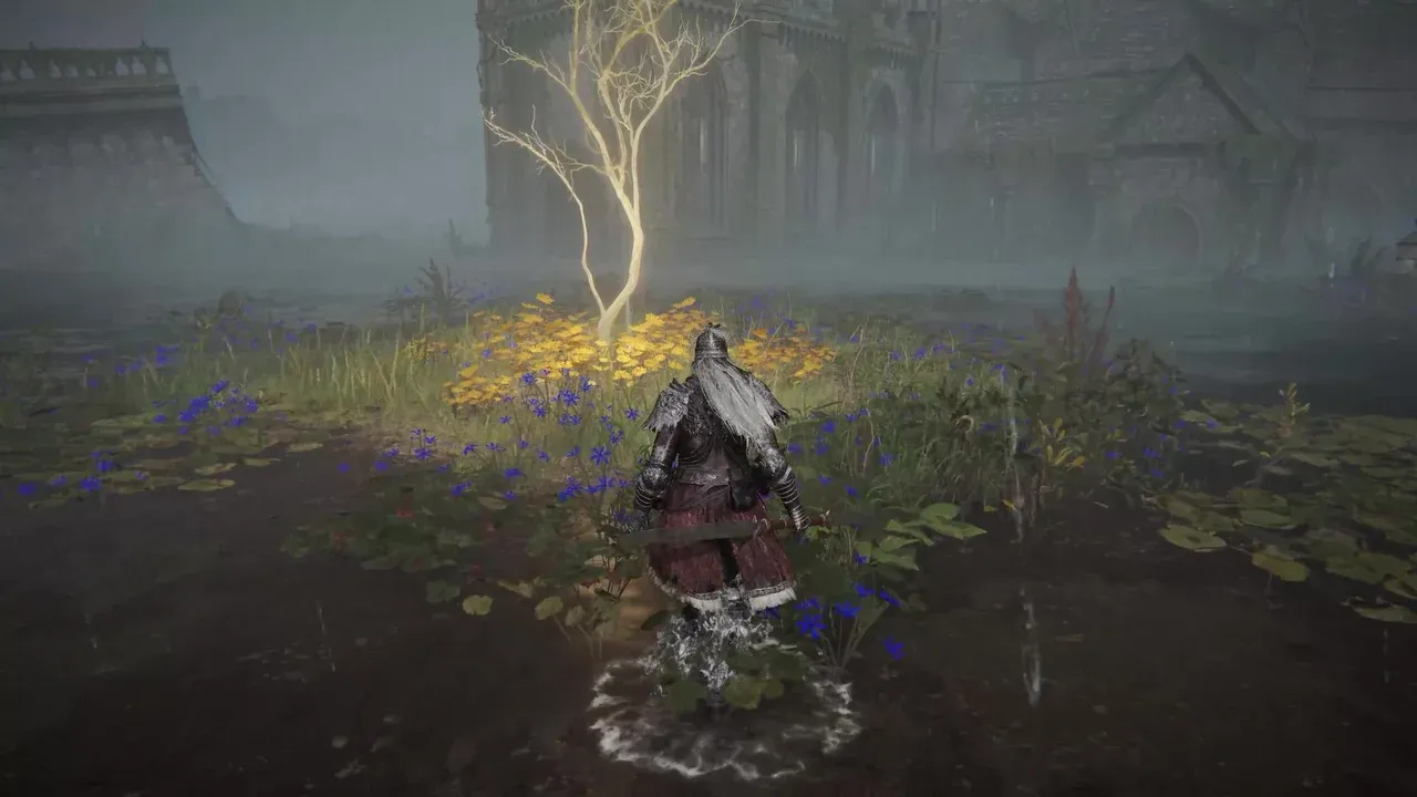 A player character approaches a glowing golden ethereal sapling to collect a Golden Seed in Elden Ring.