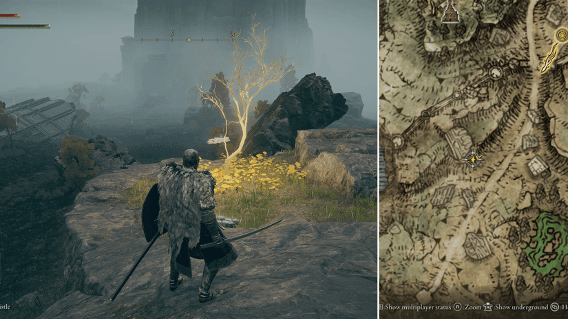 Vista detallada del mapa de una ubicación de Semilla Dorada encontrada en la Península del Llanto de Elden Ring.