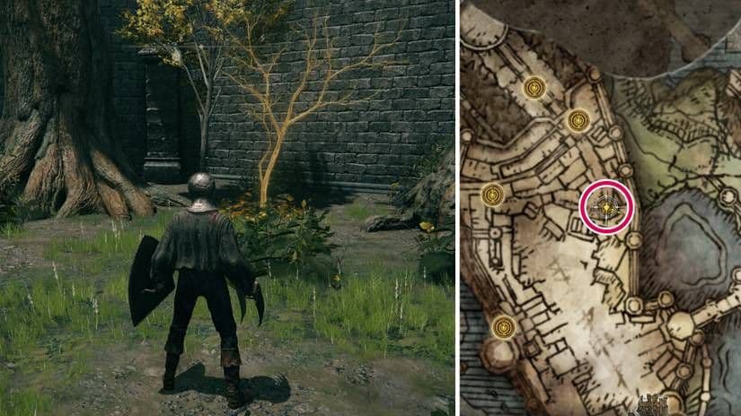 Mapa de Elden Ring mostrando la ubicación de la Semilla Dorada cerca de la Celda aislada en el Castillo de Velo Tormentoso.