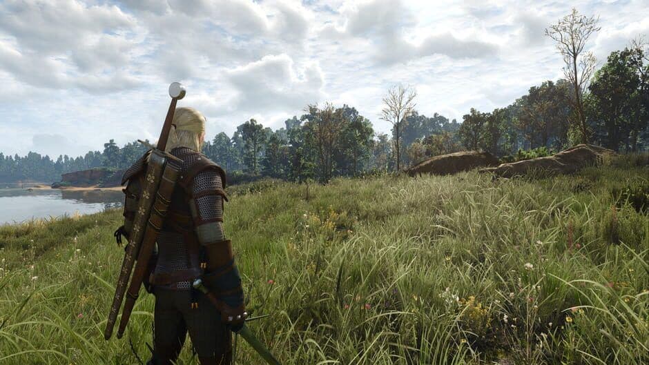 Geralt of Rivia in a combat stance within The Witcher 3 Wild Hunt.