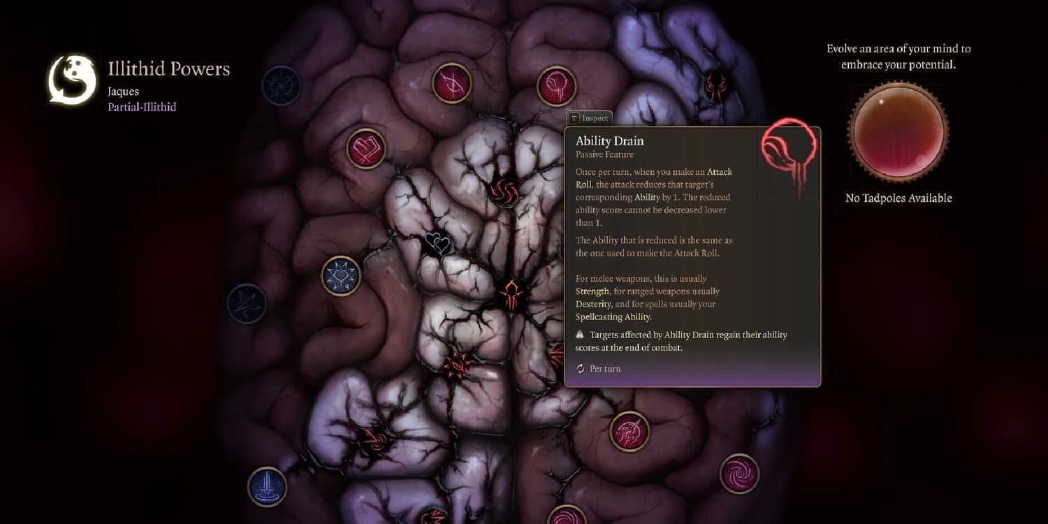 Una vista detallada del menú del cerebro del Azotamentes en Baldur's Gate 3 resaltando el poder de Drenaje de Habilidad (Ability Drain).