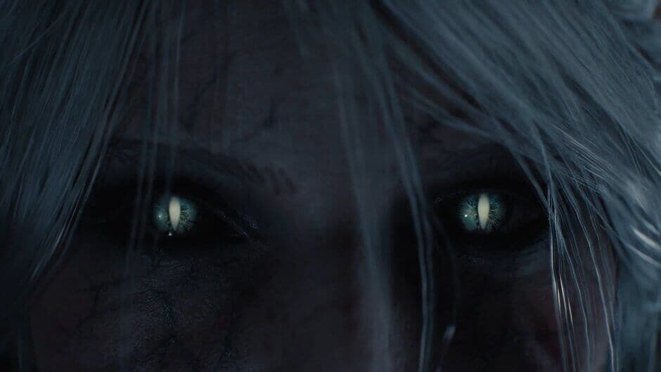 Detailed character models in the surprise expansion for the decade-old The Witcher 3.