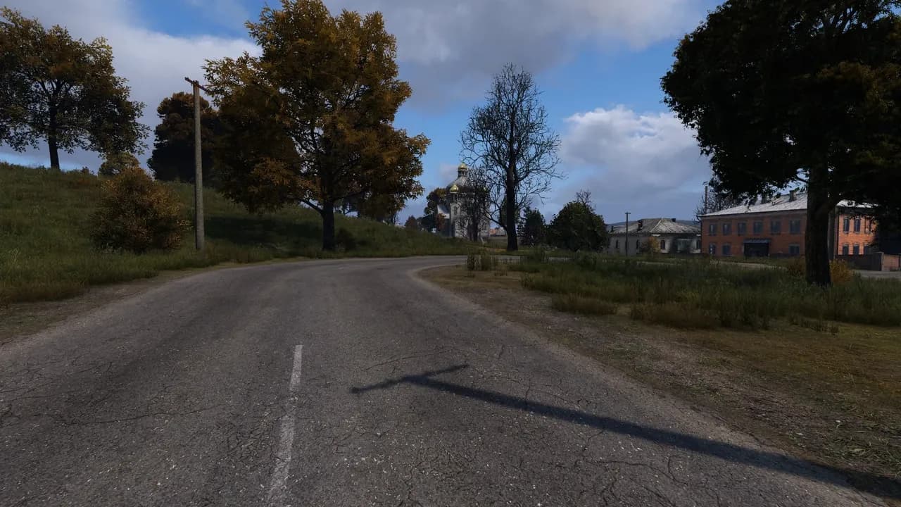 DayZ first-person view of the same Chernarus road at eye level, with the grass verge and tree line closing off the view