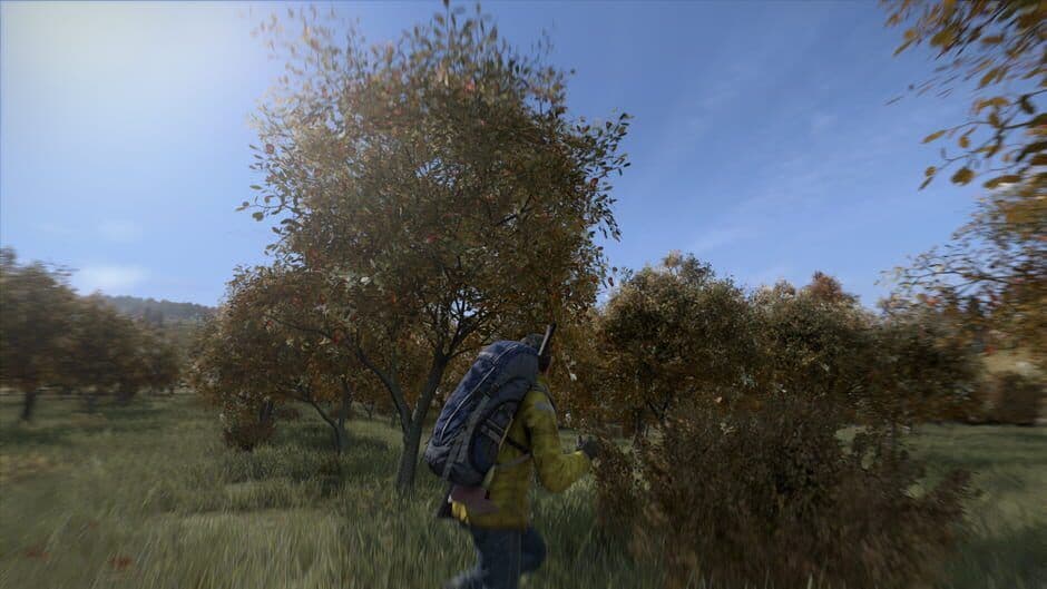 A DayZ survivor sprinting through an orchard with a large loaded backpack