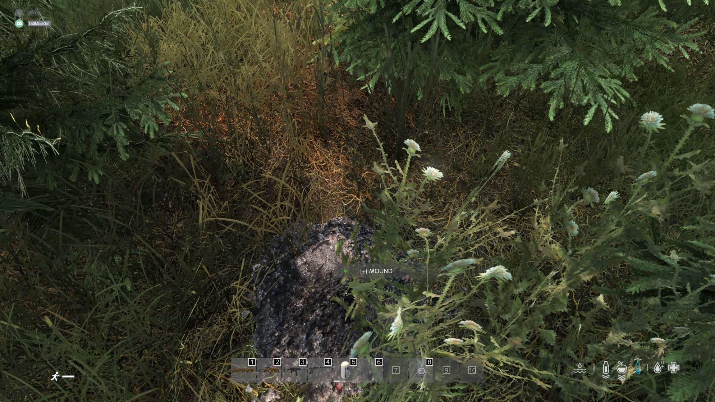A small buried-stash mound hidden under forest vegetation in DayZ
