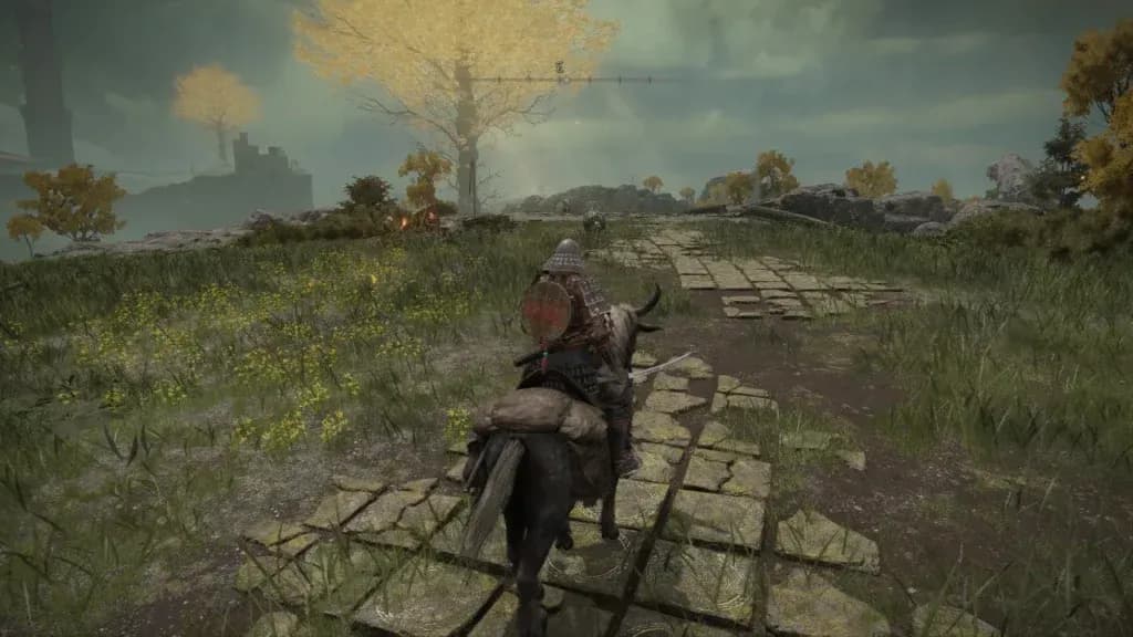 Personaje del jugador de Elden Ring en el Punto de Gracia de las Ruinas de la Puerta