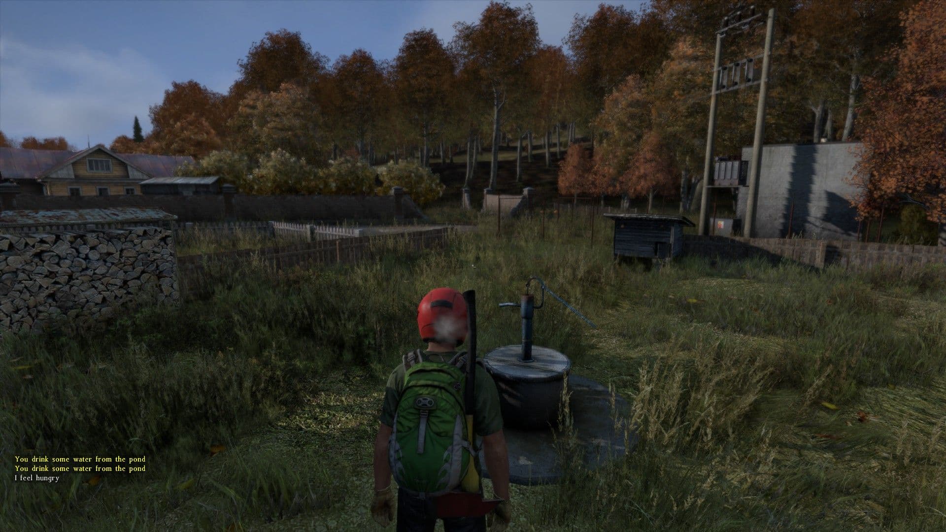DayZ survivor standing beside a hand-pump well in a rural Chernarus settlement