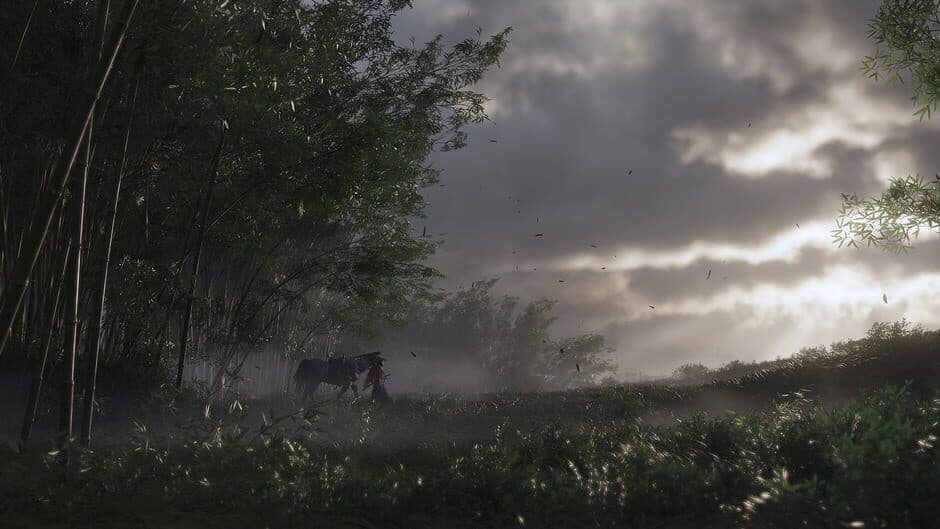 Jin Sakai standing in a scenic location in Ghost of Tsushima.