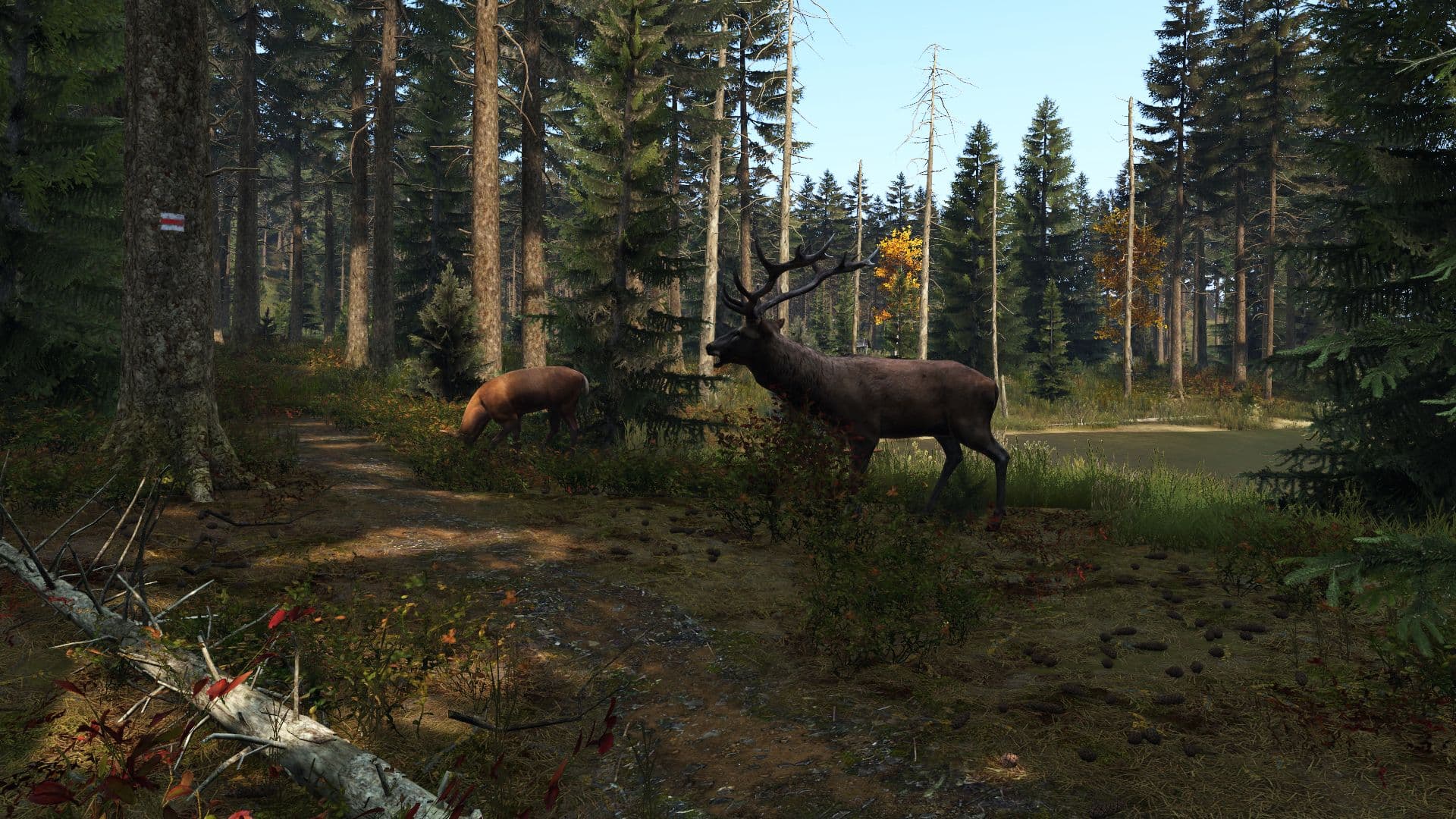 DayZ wildlife in a forest clearing