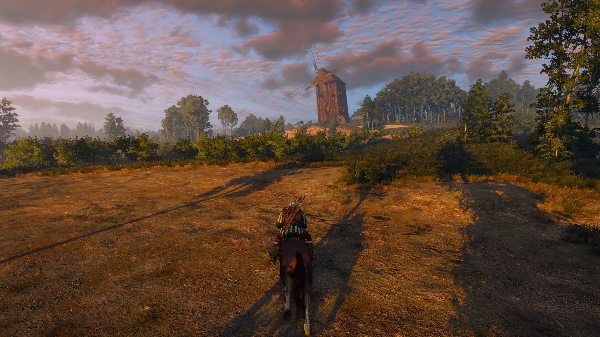 Geralt tracks the griffin to the windmill in The Witcher 3 Wild Hunt
