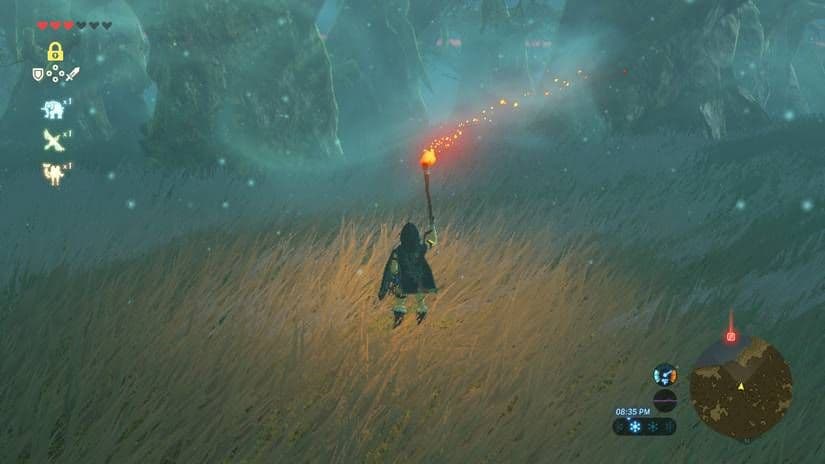 Link uses a torch to navigate the windy Lost Woods in Breath of the Wild.