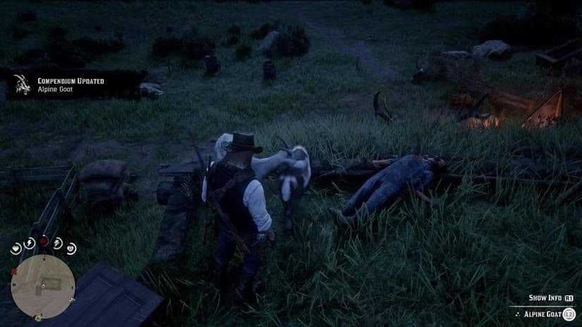 Studying an Alpine Goat in Red Dead Redemption 2 to unlock Compendium information.