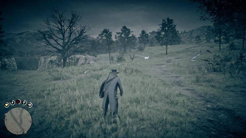 Arthur Morgan uses Eagle Eye in Red Dead Redemption 2 to track animal trails and check pelt quality.
