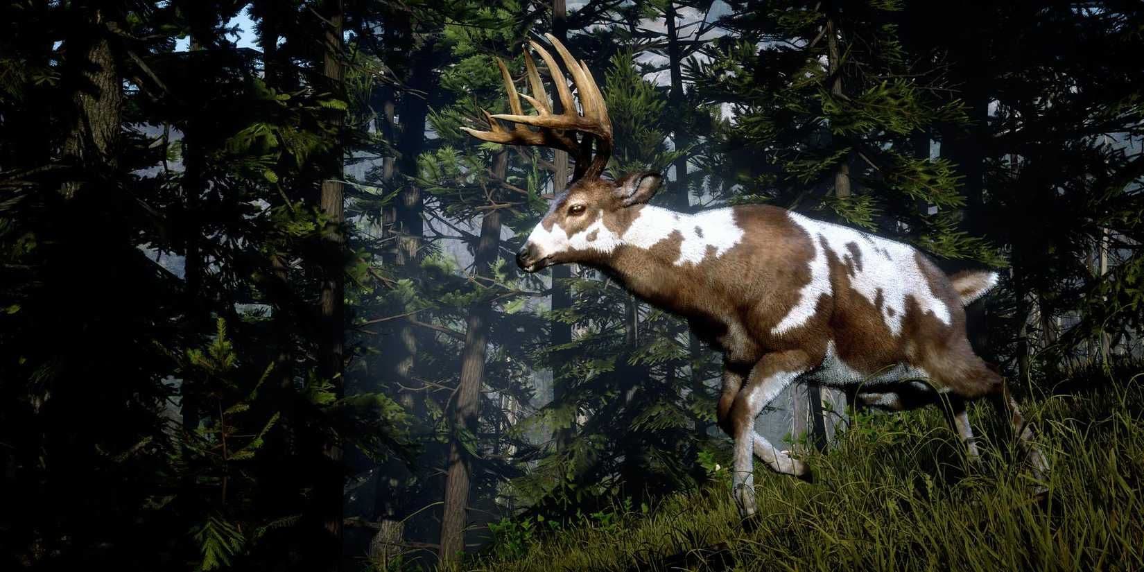 Arthur Morgan tracks the Legendary Buck in Red Dead Redemption 2 to obtain the Buck Antler Trinket.