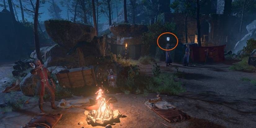 Baldur's Gate 3 companions Wyll and Gale interact around a campfire during a long rest at night.