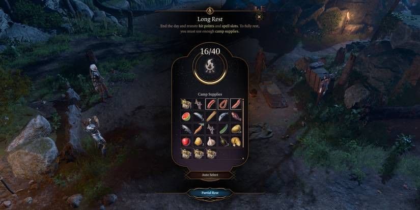 The Baldur's Gate 3 camp supplies menu showing the selection of food items and the total supply cost for a long rest.