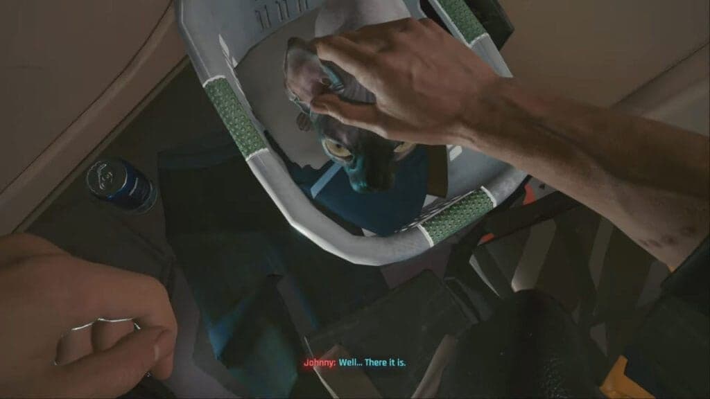 Johnny Silverhand reacts to V adopting a hairless cat in Cyberpunk 2077.