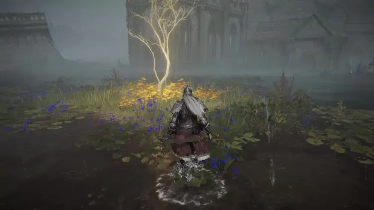 A player character approaches a glowing golden ethereal sapling to collect a Golden Seed in Elden Ring.