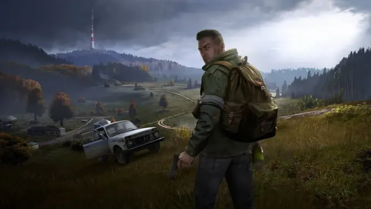 DayZ survivor overlooking a rural landscape beside a vehicle