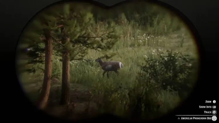 Arthur Morgan examines a three-star perfect American Pronghorn Doe in Red Dead Redemption 2 to obtain a perfect pelt.