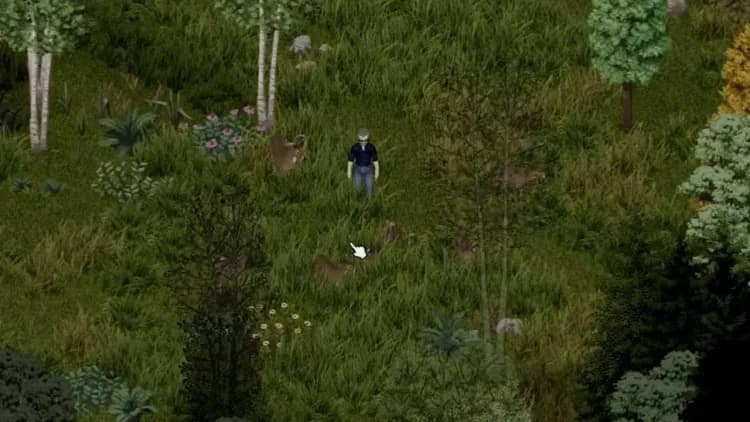A Project Zomboid survivor follows a group of deer through a dense forest