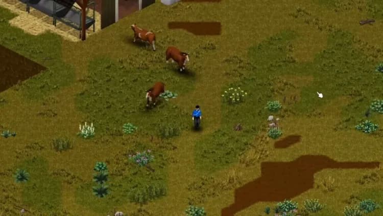 Cows grazing beside a small farm in Project Zomboid Build 42