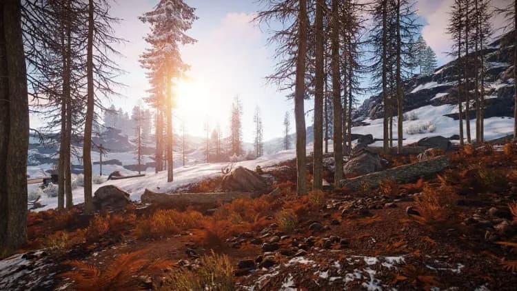 Snow-covered forest hillside in Rust under a low sun, the winter biome where cold protection stops being optional