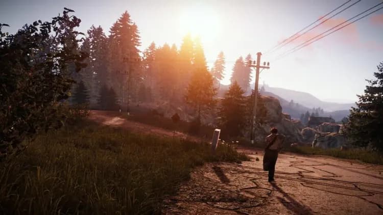 Rust survivor walking along a forest road at sunrise