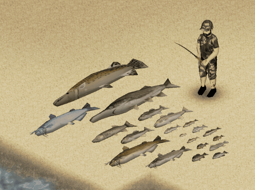 Project Zomboid Build 42 survivor with fish of several sizes spread on the shore.