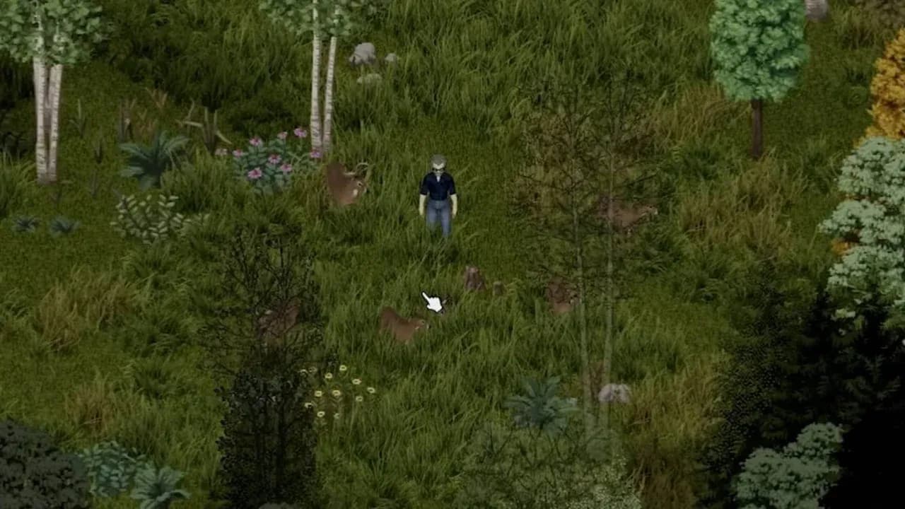 A Project Zomboid survivor follows a group of deer through a dense forest