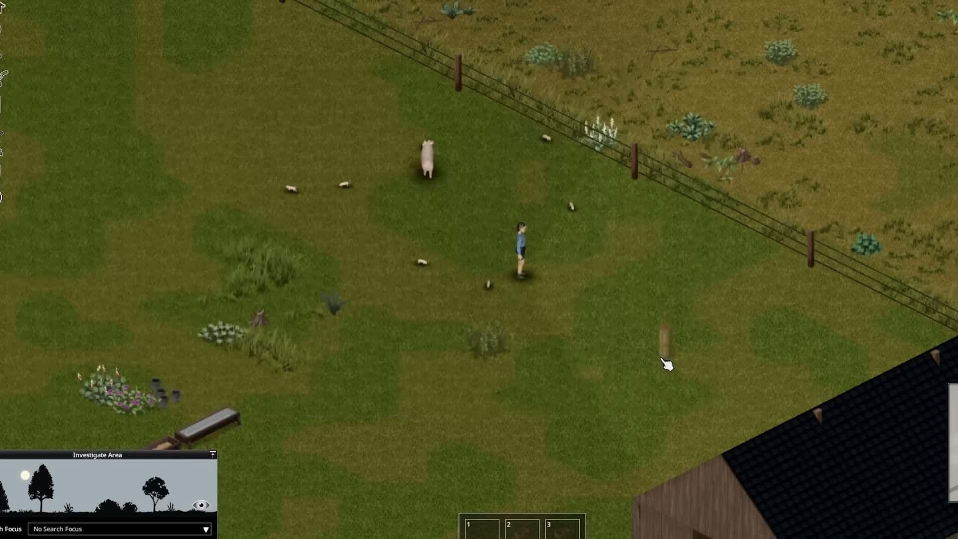A Project Zomboid survivor standing beside a pig and piglets in a fenced pasture in Build 42