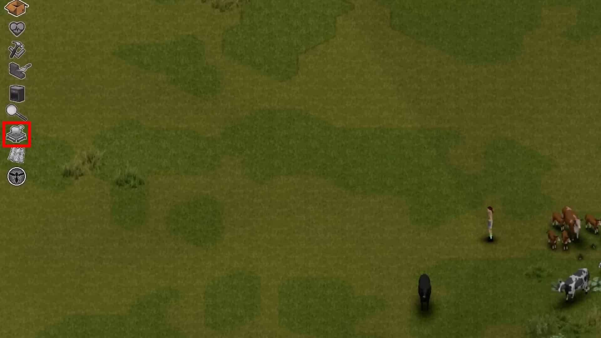 A herd of cattle grazing beside a survivor in a Project Zomboid Build 42 pasture