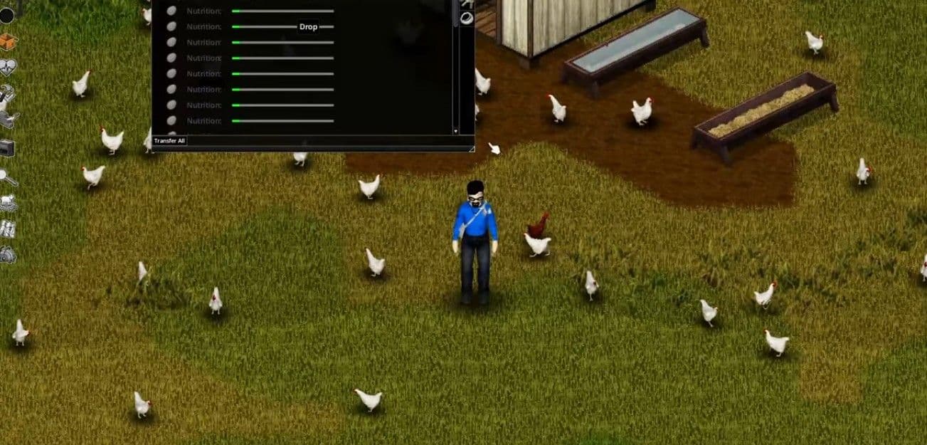 Chickens gather beside food and water troughs in Project Zomboid Build 42