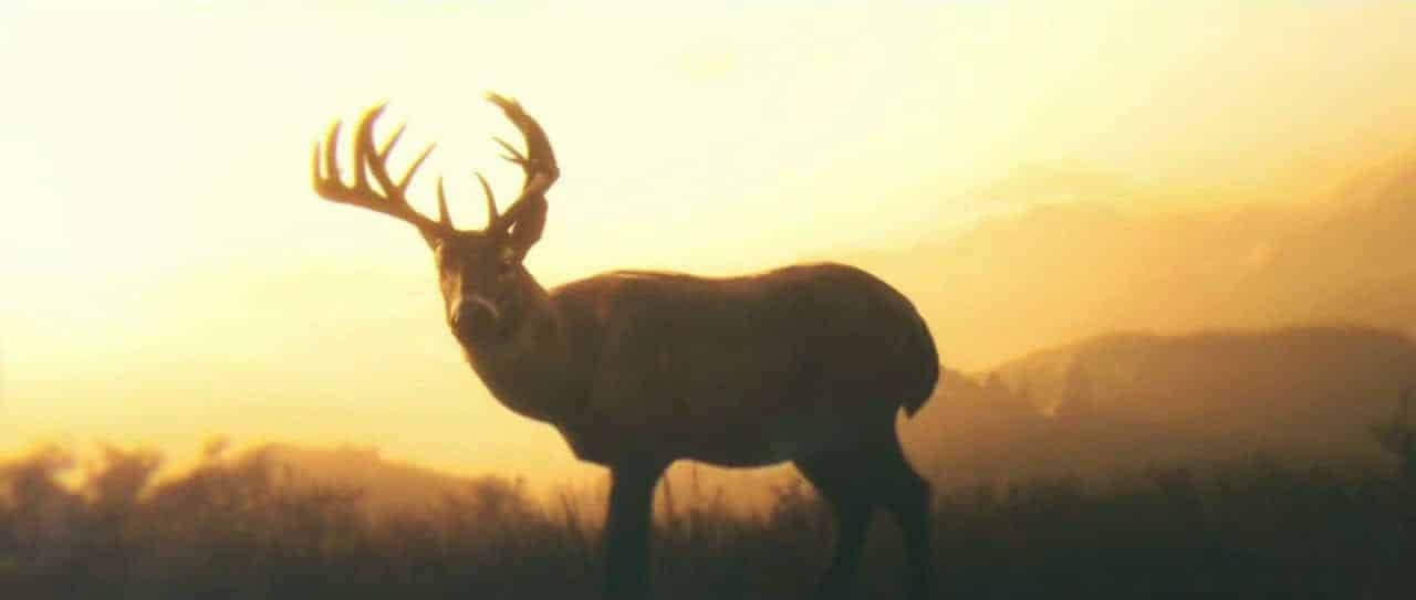 A majestic stag silhouetted against a sunset in Red Dead Redemption 2 representing high honor.