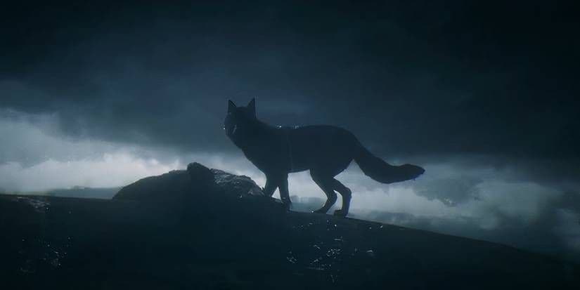 A wolf appears in Arthur Morgan's dream, symbolizing low honor or misguided choices in Red Dead Redemption 2.