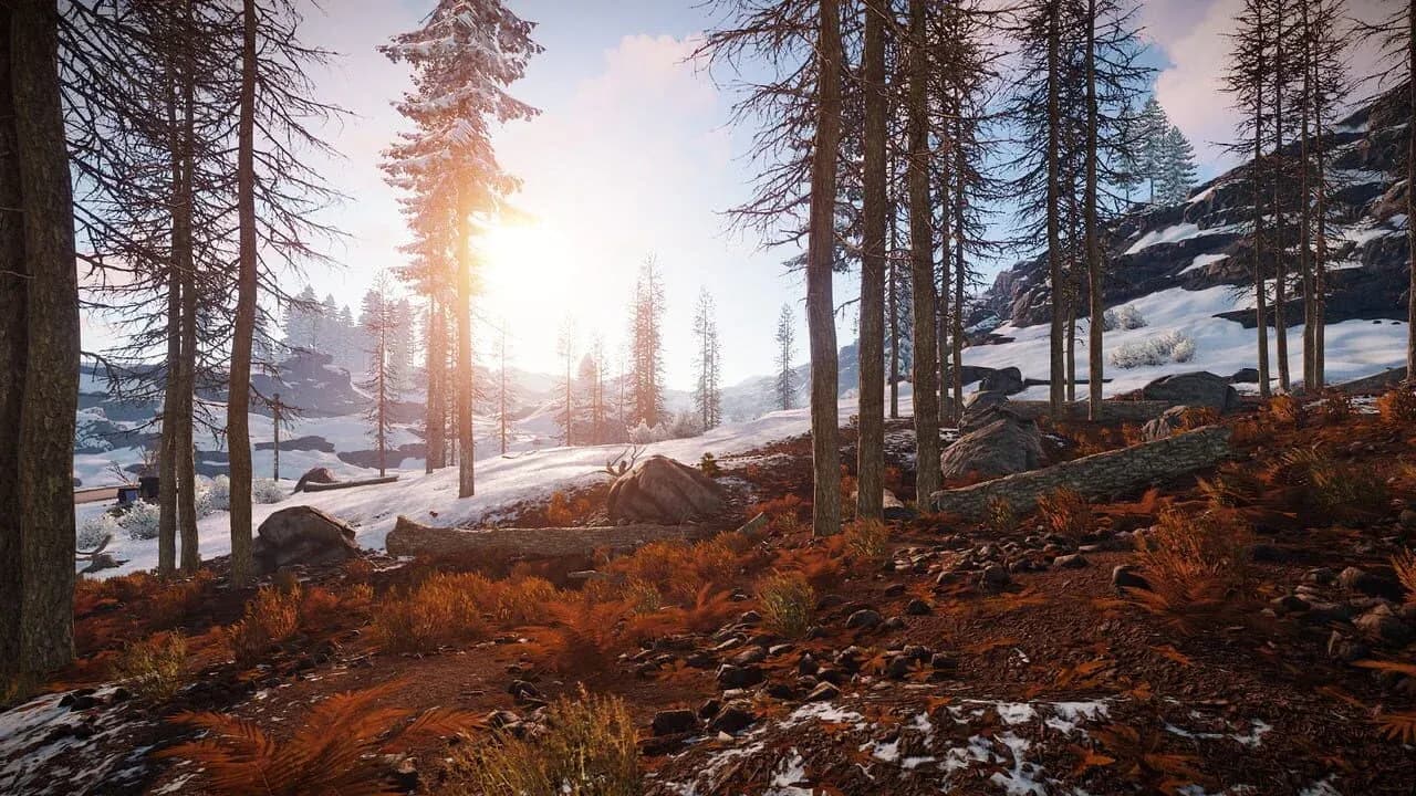 Snow-covered forest hillside in Rust under a low sun, the winter biome where cold protection stops being optional