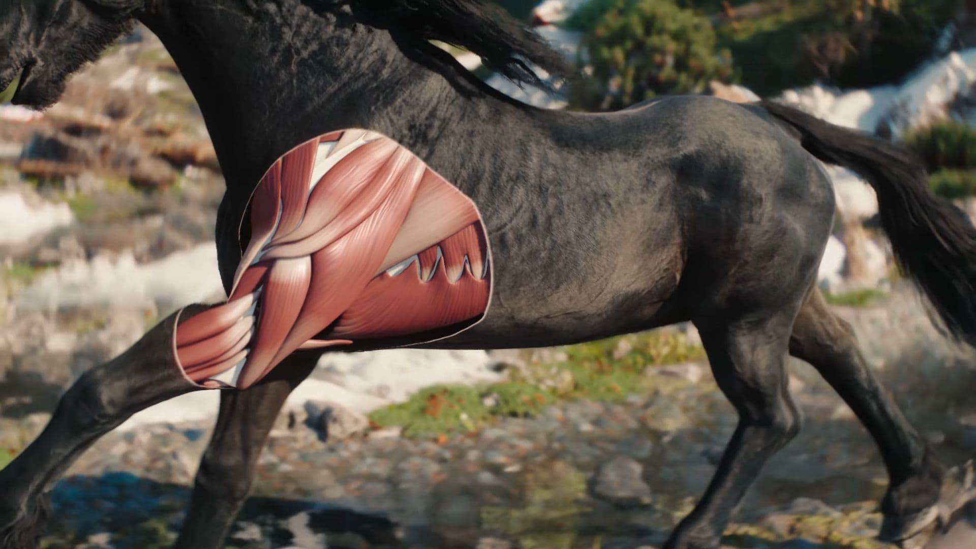 La demo técnica de The Witcher IV muestra el movimiento y la física realistas del caballo de Ciri, Kelpie.