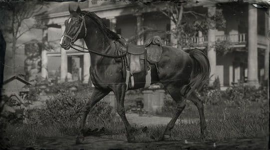 A high-performance Arabian horse standing in the wilderness of Red Dead Redemption 2.